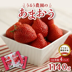【ふるさと納税】いちご あまおう 4パック 1140g DX等級 有機質肥料 特別栽培 認定農家 安心 安全 うるう農園 採れたて 農家直送 フルーツ 果物 冷蔵 スイーツ スムージー いちごジャム お取り寄せ お取り寄せグルメ 福岡県 久留米市 送料無料