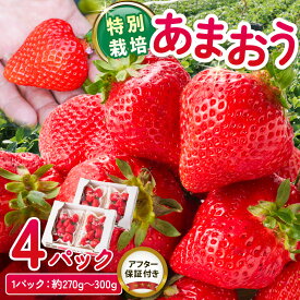 【ふるさと納税】先行予約 あまおう 大粒 約1.1kg (約270g～300g×4P) いちご 特別栽培 産地直送 フルーツ 果物 ストロベリー スイーツ デザート 冷蔵 ※2026年11月以降順次発送 お取り寄せ 福岡県 久留米市 送料無料