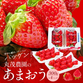 【ふるさと納税】【2026年2月より順次発送】丸茂農園の福岡県産あまおう いちご スイーツ 果物 デザート フルーツ 食べ方いろいろ ヨーグルト アイス ジャム 甘み 旬 酸味 濃厚 赤い 丸い 大きい うまい 肉厚 いちごの王様 お取り寄せ 福岡県 久留米市 広川町 送料無料