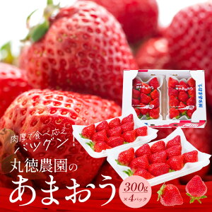 yӂ邳Ɣ[Łzy2026N2菇zۓ_ Y ܂ 300g × 4pbN  ̉l Â _ oX ①  傫 ܂  fU[g ʕ t[c l