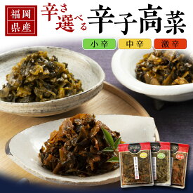【ふるさと納税】辛子高菜 1袋 選べる 辛さ 小辛 中辛 激辛 高菜油炒め 福岡県産 高菜 醤油 国産 焼きあご 出汁 利尻昆布 エキス 生姜 金ごま こだわり ご飯のお供 ラーメン チャーハン おにぎり 料理 アレンジ 食品 お取り寄せ お取り寄せグルメ 福岡県 久留米市 送料無料