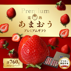 yӂ邳Ɣ[ŁzC`S ܂ n v~A Mtg Ԍ 380g 2pbN v760g ʍ͔| 嗱 I ① g[ 肩[ Ռ X ɘa 蕨 t[c ʕ  