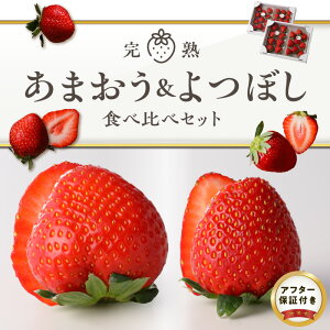 yӂ邳Ɣ[ŁzC`S ܂ ڂ Hה Zbg n Ԍ e 250g 2pbN v4pbN v 1kg ʍ͔| GR_Y S S 嗱 ① 肩[ 蕨 t[c ʕ XC