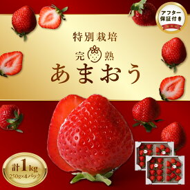 【ふるさと納税】池田農園 特別栽培 完熟 あまおう 250g×4パック 糖度 酸味 安心安全 栄養価が高い 福岡エコ農産物 いちご 果物 フルーツ スイーツ いちご煮 いちごジャム スムージー おやつ ストロベリー ゆりかーご お取り寄せ 贈り物 福岡県 久留米市 送料無料