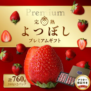 yӂ邳Ɣ[ŁzC`S n ڂ v~A Mtg Ԍ 380g 2pbN v760g ʍ͔| 嗱 I x Z ① g[ 肩[ 蕨 t[c ʕ  