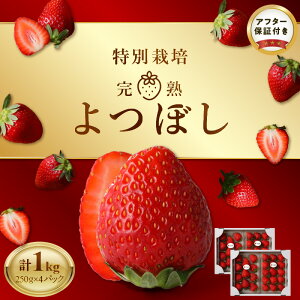yӂ邳Ɣ[Łzrc_ ʍ͔| n ڂ 250g × 4pbN Z Â SS h{ GR_Y  ʕ t[c XC[c  W X[W[ 