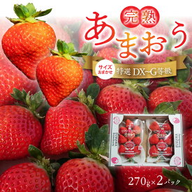 【ふるさと納税】福岡県産 特別栽培 完熟 あまおう 270g × 2パック サイズおまかせ DX～G等級 国産 苺 濃厚 ジューシー 甘い 果実 果肉 土耕栽培 フルーツ 果物 お取り寄せ お取り寄せフルーツ デザート おやつ ストロベリー 食品 九州 福岡県 久留米市 送料無料