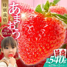 【ふるさと納税】福岡県産 特別栽培 特選 DX等級 完熟 あまおう 270g × 2パック 計 540g 自然の恵み 濃厚 大粒 ジューシー 朝採れ いちご 宙づり ハンモック構造 贈答用 フルーツ デザート お取り寄せ 福岡県 久留米市 送料無料