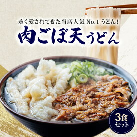 【ふるさと納税】価格改定 肉 ごぼ天 うどん 立花うどん 福岡県 久留米市 送料無料 中太 九州うどん 行列のできる人気店 スープ付き