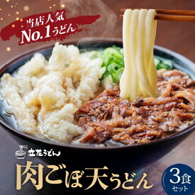 【ふるさと納税】肉 ごぼ天 うどん 立花うどん 3食セット スープ付き 中太 九州 九州うどん 行列のできる人気店 麺 麺類 うどん麺 セット 肉ごぼう天 ごぼう天 食品 人気 おすすめ 釜揚げ製法 お取り寄せ グルメ お取り寄せグルメ 冷凍 福岡県 久留米市 送料無料