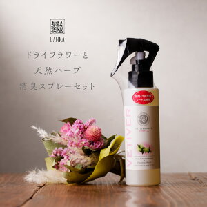 yӂ邳Ɣ[ŁzhCt[ VR n[u LXv[ Zbg ~jXbO 15cm ̉ԍ  CeA pi VRf VR x`x~Xg 100ml Xv[{g v