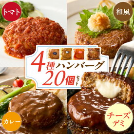 【ふるさと納税】ハンバーグ 4種 20個 チーズデミ 和風 トマトソース カレーソース 各5個 冷凍 温めるだけ 湯煎 レンジ 電子レンジ バラエティ 個包装 小分け 食べ比べ チーズインハンバーグ 夕食 おかず お弁当 簡単調理 時短 お取り寄せ グルメ 福岡県 久留米市 送料無料