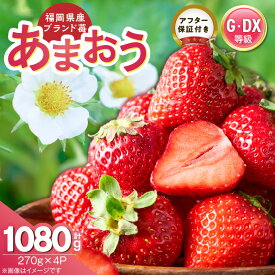 【ふるさと納税】あまおう いちご 270g 4パック グレード グランデ デラックス アフター保証 ストロベリー 甘み 酸味 濃厚 果物 果汁 フルーツ おやつ スイーツ ケーキ スムージー ジャム デザート 食品 冷蔵 お取り寄せ 福岡県 久留米市 送料無料