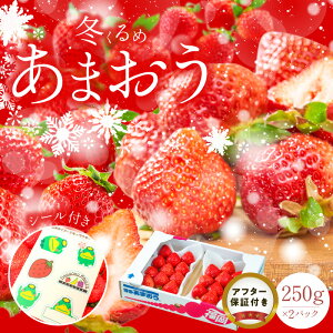 yӂ邳Ɣ[ŁzY ~ ܂ 250g × 2pbN v 500g ① Z Â 嗱 ʏ` At^[ۏ SS Y  ʕ AW  t[c XC[c X[W[ W 썑