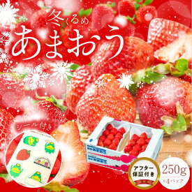 【ふるさと納税】冬くるめ あまおう 250g × 4パック 合計 1kg 冷蔵 苺本来の味 濃厚 甘い 果汁 アフター保証 安心安全 国産 いちご 果物 アレンジ おやつ お菓子 タルト クッキー フルーツ スイーツ スムージー ジャム 南国フルーツ お取り寄せ 福岡県 久留米市 送料無料