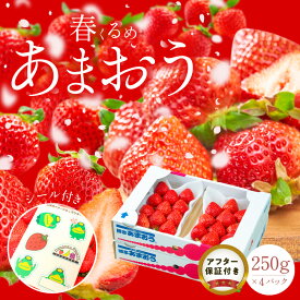 【ふるさと納税】福岡産 春 あまおう 250g × 4パック 合計 1kg シール付き 冷蔵 濃厚 甘い 果汁 アフター保証 安心安全 国産 いちご 果物 アレンジ おやつ フルーツ スイーツ スムージー ジャム 南国フルーツ お取り寄せ 福岡県 久留米市 送料無料