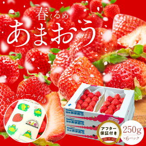 yӂ邳Ɣ[ŁzY t ܂ 250g × 6pbN v 1.5kg ① Z Â ʏ` At^[ۏ SS _ Ö Y  ʕ AW  t[c XC[c X[W[ W 