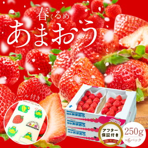 yӂ邳Ɣ[ŁzY t ܂ 250g × 6pbN v 1.5kg ① Z Â ʏ` At^[ۏ SS _ Ö Y  ʕ AW  t[c XC[c X[W[ W 