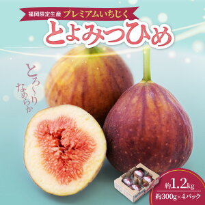 yӂ邳Ɣ[Łzuh  Ƃ݂Ђ 300g×4pbN v1.2kg  ʓ 炩 H Â i 킢 P[L ^g W ptF V[xbg XC[c H ʕ t[c 