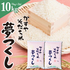 【ふるさと納税】米 お米 精米 福岡 限定生産 夢つくし 10kg 5kg×2 白米 ご飯 おにぎり 食品 ふっくら 甘い 粒がしっかり 南国フルーツ株式会社 お取り寄せ お取り寄せグルメ 福岡県 久留米市 送料無料