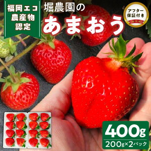 【ふるさと納税】エコ農産物認定 堀農園 あまおう 200g × 2パック 計 400g 完熟 食べ頃 いちご チルド便 大粒 甘み 程よい 酸味 バランス 絶妙 果汁 ジューシー お取り寄せ 福岡県 久留米市 送料