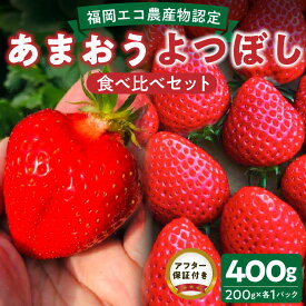 【ふるさと納税】エコ農産物認定 堀農園 あまおう よつぼし 各 200g × 1パック 計 400g 食べ比べ セット 完熟 食べ頃 いちご チルド便 大粒 甘み 程よい 酸味 バランス 絶妙 果汁 ジューシー 四つ星級 お取り寄せ 福岡県 久留米市 送料無料