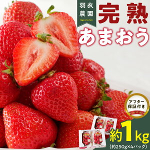yӂ邳Ɣ[Łzys\z y2026N1{菇z Y n ܂ 250g × 4pbN v 1kg    uh  Ƒ VFA t[c ʕ ʎ p