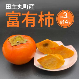 yӂ邳Ɣ[Łz` Ê` xL` 10 ` 14  3kg `̉l lC  Y t[c ʕ i Vcւ̌i H̖o Yn ① XC[c T_ { rK_  vĎs c