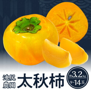 yӂ邳Ɣ[Łzy2025N10z` Ê` H` 9 ` 14  3.2kg 킪Ȃ rK_ VLVLƂH ς ` x Y t[c ʕ  vĎs  