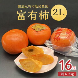 【ふるさと納税】【2026年12月より順次発送】 柿 約 4.2kg 富有柿 2L サイズ 16玉 入り 個包装 柿の王様 甘柿 人気 高い 国産 フルーツ 果物 高品質 天皇への献上品 池尻農園 福岡県 久留米市 田主丸 お取り寄せ お取り寄せフルーツ 冷蔵 生食 食品 食べ物 送料無料