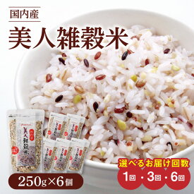 【ふるさと納税】雑穀米 国内産 250g × 6個 選べる お届け回数 1回 3回 6回 美人雑穀米 雑穀 12種 ブレンド 混ぜて炊くだけ 冷めても美味しい 胚芽押麦 もち玄米 発芽 玄米 もち黒米 ハト麦 もち麦 もちきび 黒大豆 もちあわ 簡単 主食 おにぎり 弁当 ふっくら もちもち