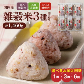 【ふるさと納税】米 雑穀米 おいしい 3種 6パック 詰め合わせ セット 1460g 選べる 1回/隔月定期便3回/6回 国内産 体にやさしい 混ぜて炊くだけ 主食 おにぎり 冷めても美味しい お弁当 ブレンド 日本雑穀アワード 2年連続 金賞 GABA雑穀米 美人雑穀米 五種玄氣米 送料無料