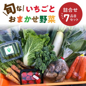yӂ邳Ɣ[Łz{  250g ܂  l Zbg H׍ 6i ʂ˂ lQ 卪 Ju Tj[^X Ȃ LE gERV OR[ P[ Ԑ pN`[ s[} 