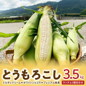 【ふるさと納税】【2026年6月より順次発送】とうもろこし 2種 詰合せ 計 3.5kg ドルチェドリーム ホワイトショコラ プレミアム味来 ランダム 生で食べられる ジューシー 甘い 白いとうもうこ