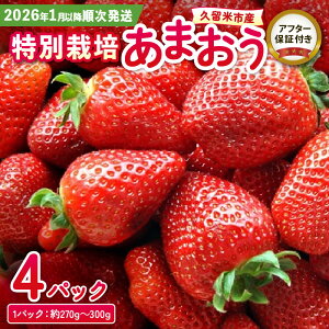 yӂ邳Ɣ[Łzst 2026N1ȍ~  ܂  270g ` 300g × 4P 嗱 Z Â ʍ͔| S S ① ʕ t[c Xgx[ At^[ۏ XC[c P[L X[W[ 