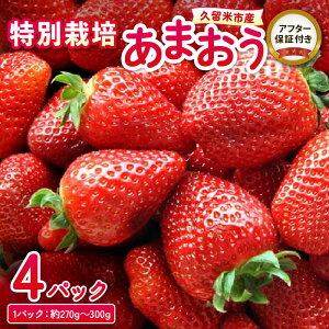 yӂ邳Ɣ[Łz ܂  270g ` 300g × 4P 嗱 Z Â ʍ͔| S S ① ʕ t[c Xgx[ At^[ۏ XC[c P[L X[W[ W fU[g 