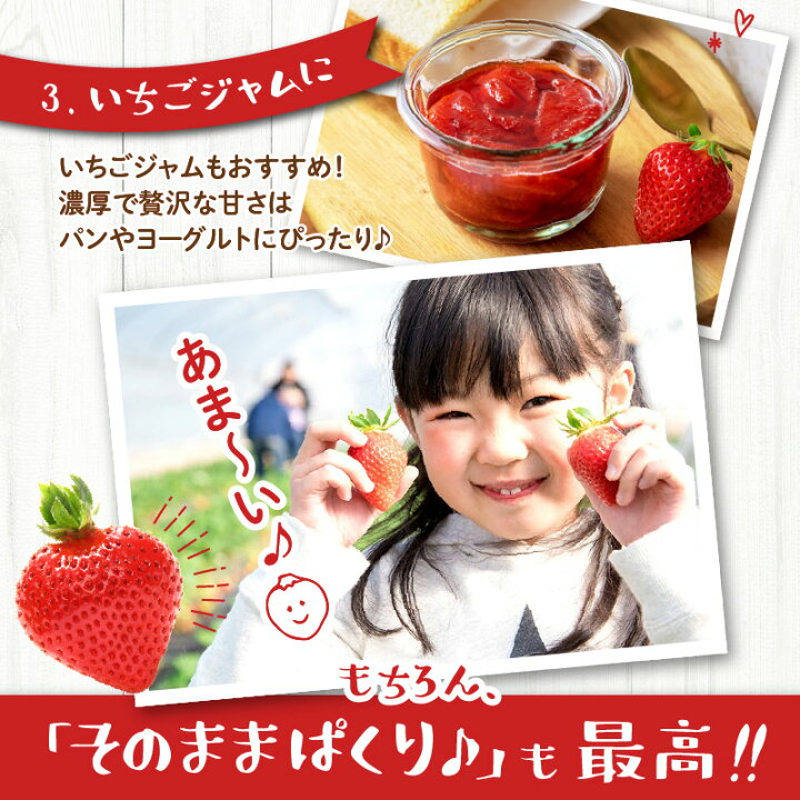 ふるさと納税 くるめいちごみらい2パック:福岡県久留米市 ふるさと納税 くるめいちごみらい2パック:福岡県久留米市