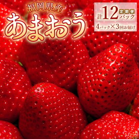 楽天市場 いちご フルーツ 果物 食品 の通販