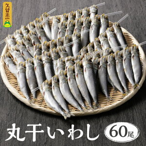 いわし 魚介加工品の人気商品 通販 価格比較 価格 Com