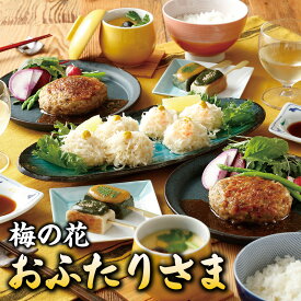 【ふるさと納税】梅の花 2人分 惣菜 とうふしゅうまい かにしゅうまい 茶碗蒸し ミニ生麩 木の芽みそ 柚子みそ 豆腐 ハンバーグ 久留米ソース 冷凍 冷凍保存 おふたりさま 中華 和食 セット お祝い ギフト 福岡 久留米市 お取り寄せ 送料無料