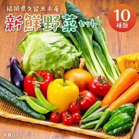 【ふるさと納税】福岡県 久留米市産 新鮮野菜 セット 10品目 約10kg 旬の野菜 詰め合わせ 新鮮 季節 野菜 水菜 小松菜 ほうれん草 アスパラ キャベツ オクラ レイシ トマト 胡瓜 ニラ 玉葱 インゲン 茄子 春菊 ブロッコリー 大根 旬 料理 久留米市 冷蔵 お取り寄せ 送料無料