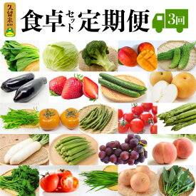 【ふるさと納税】野菜 定期便 3回 食卓セット