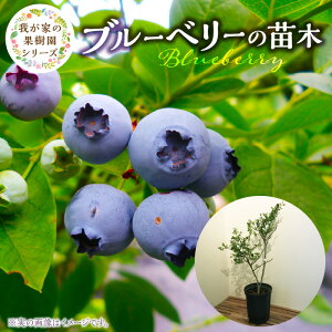yӂ邳Ɣ[Łzu[x[ c   50 cm o 7 N 2Nڈ `[c 䂪Ƃ̉ʎ V[Y t[c ʕ x[  t ʎ A A A K[fjO 