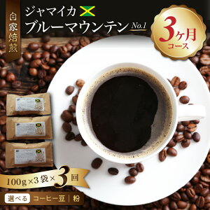 yӂ邳Ɣ[Łzu[}Ee No.1 W}CJY Iׂ  /  100g × 3 v300g × 3 3R[X ͂  R[q[ ̉l   VL[  _ Ö RN  