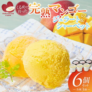 【ふるさと納税】【2026年7月お届け】先行予約 完熟 マンゴー ジェラート シャーベット セット 130ml × 6個 各3個 高糖度 果肉 使用 地植栽培 アイス デザート ご褒美 冷凍 トロピカルフルーツ