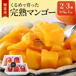 yӂ邳Ɣ[Łzy2026N6ȍ~͂zs\ n}S[ 2 ` 3 0.9kg ` 1kg p vĎY Ƃ낯 Â t[c gsJt[c ʕ }S[ n x lC Y n