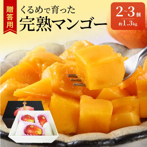 yӂ邳Ɣ[Łzy2026N6ȍ~͂zp n}S[ 2 ` 3  1.3kg vĎY n }S[ Y Ƃ낯 Â nA t[c gsJt[c Abv}S[ ʕ f