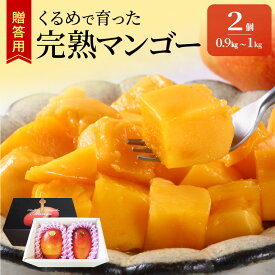 【ふるさと納税】【2026年6月以降お届け】贈答用 完熟マンゴー 2個 約 0.9kg ～ 1kg 久留米産 完熟 マンゴー 国産 とろける 甘さ フルーツ トロピカルフルーツ 果物 デザート 冷蔵 クール便 倉重農園 お取り寄せ お取り寄せフルーツ 福岡県 久留米市 送料無料
