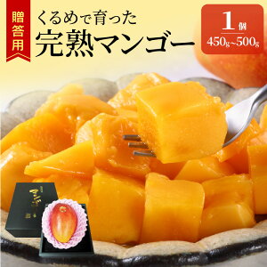 yӂ邳Ɣ[Łzy2026N6ȍ~͂zs\ p ߂ň n}S[ 1  450g ` 500g Â qS x nA͔| r^~A gsJ t[c ʕ }S[ 