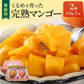 【ふるさと納税】【2026年6月以降お届け】家庭用 くるめで育った 完熟マンゴー 2個 約0.8〜1kg 甘い 子供も安心 果物 果実 スイーツ デザート マンゴー 国産 クール便 倉重農園 お取り寄せ お取り寄せスイーツ 福岡県 久留米市 送料無料